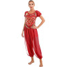 Costume de danse orientale brassière et pantalon paillettes rouge et or